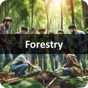 Forestry