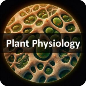 Plant Physiology