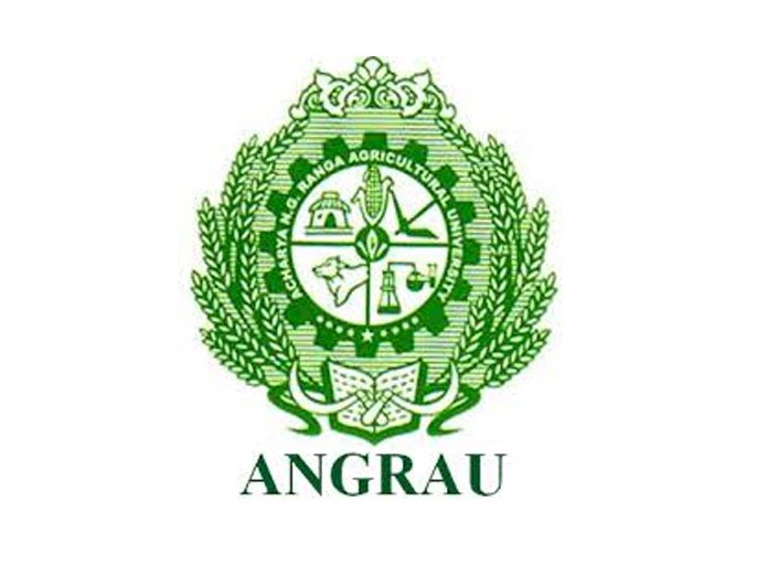 Exam Logo