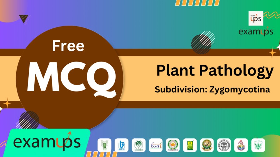 MCQ on Subdivision: Zygomycotina (Mucorales)