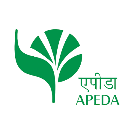Exam Logo