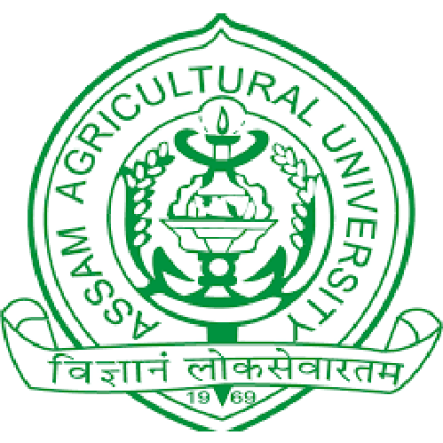 Exam Logo